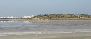 Billedet er taget ved en af saltsøerne nær Larnaca (kilde: wikimedia)